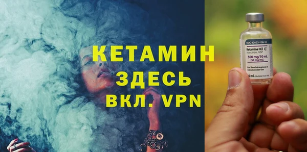 сатива Бородино