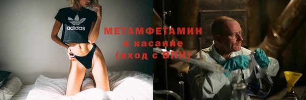 сатива Бородино