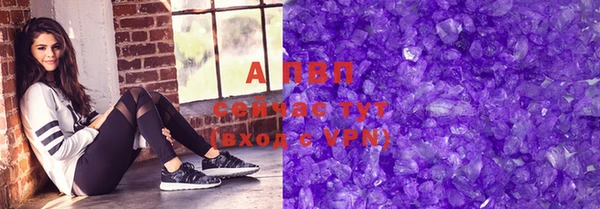 сатива Бородино