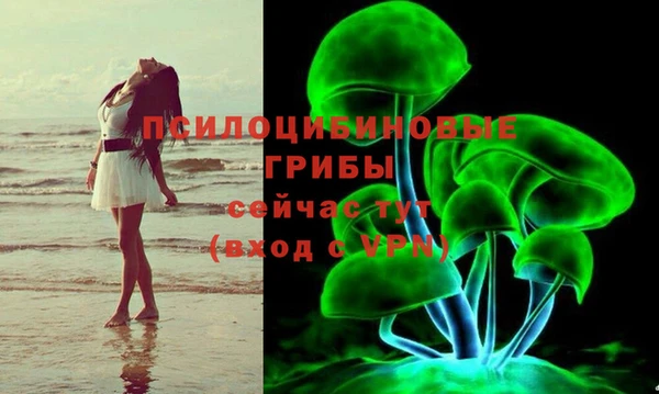 бошки Дубовка