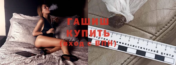 сатива Бородино