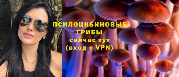 дживик Снежинск
