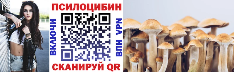 где купить   kraken зеркало  Галлюциногенные грибы GOLDEN TEACHER  Рузаевка 
